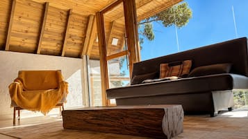 Premium Cabin | Living area