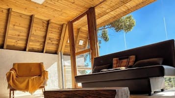 Cabaña Premium | Área de sala de estar | Smart TV de 43 pulgadas con canales digitales y Netflix