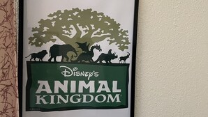 Un tableau encadré représentant le logo du parc Disney's Animal Kingdom, accroché à un mur.