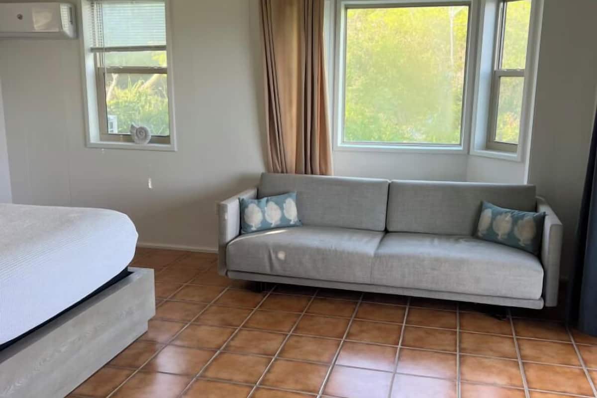 A room with a bed, a sofa, two windows, and a curtain.
