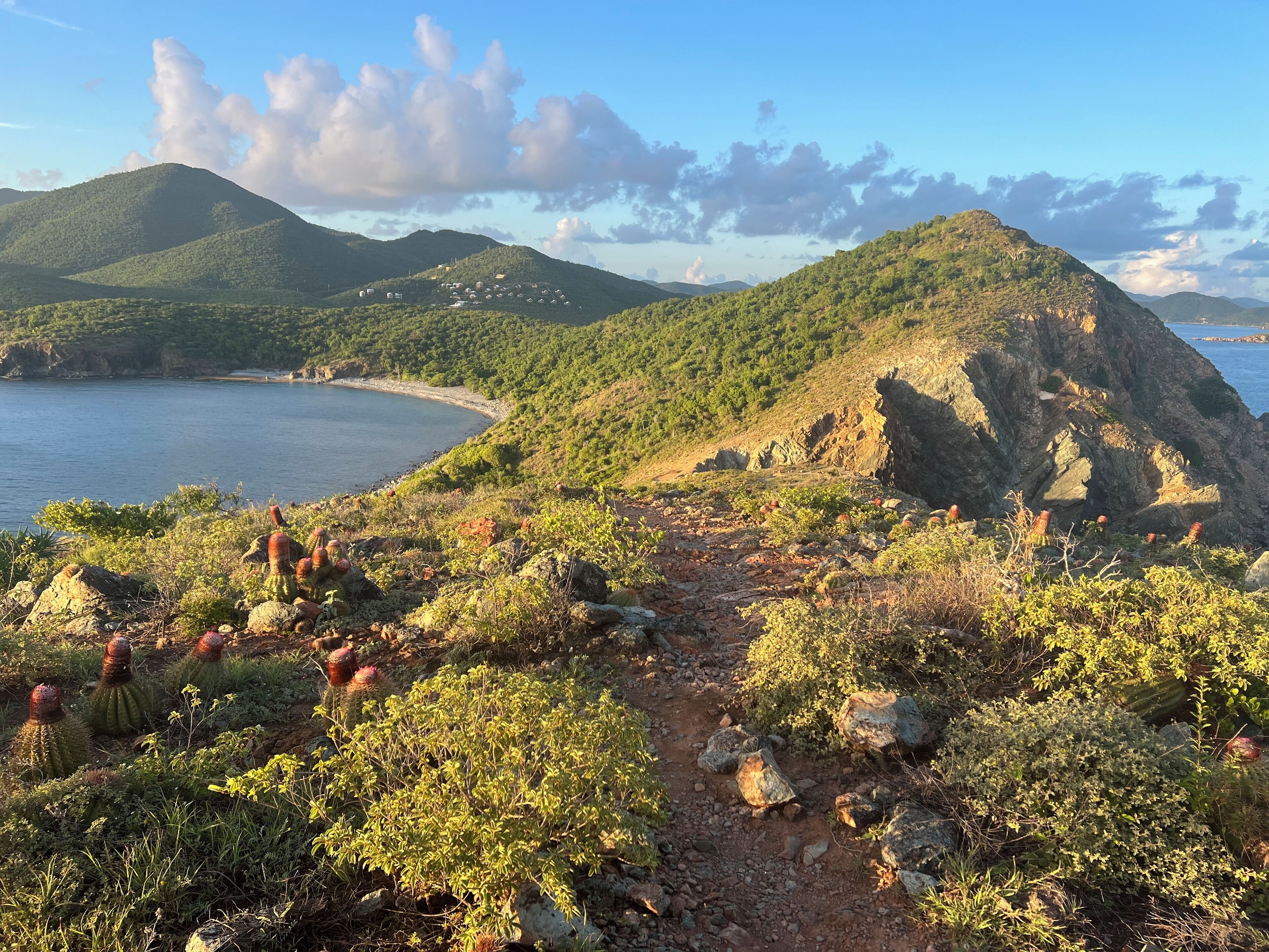 A coastal landscape with a dirt path, green vegetation, and a body of water.