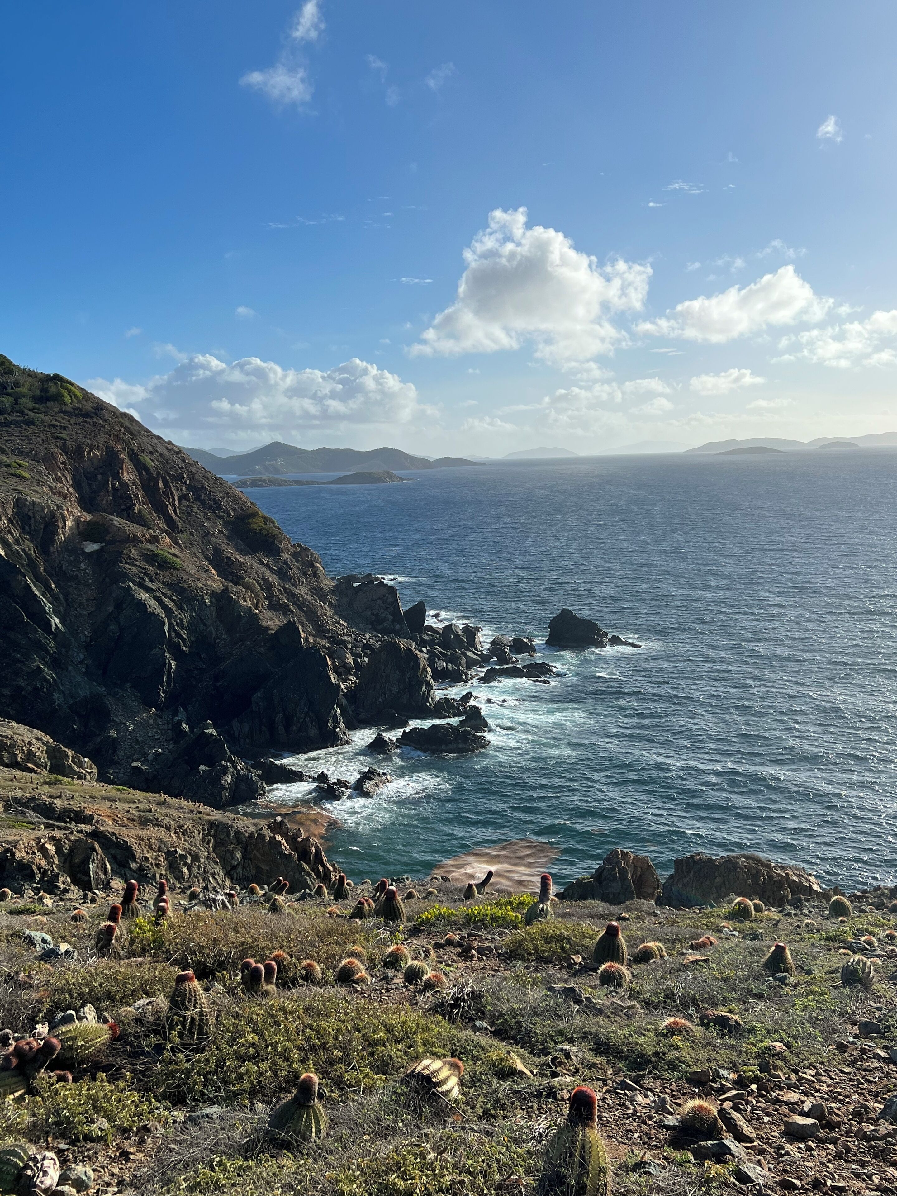 A coastal landscape with rocky terrain and cacti.