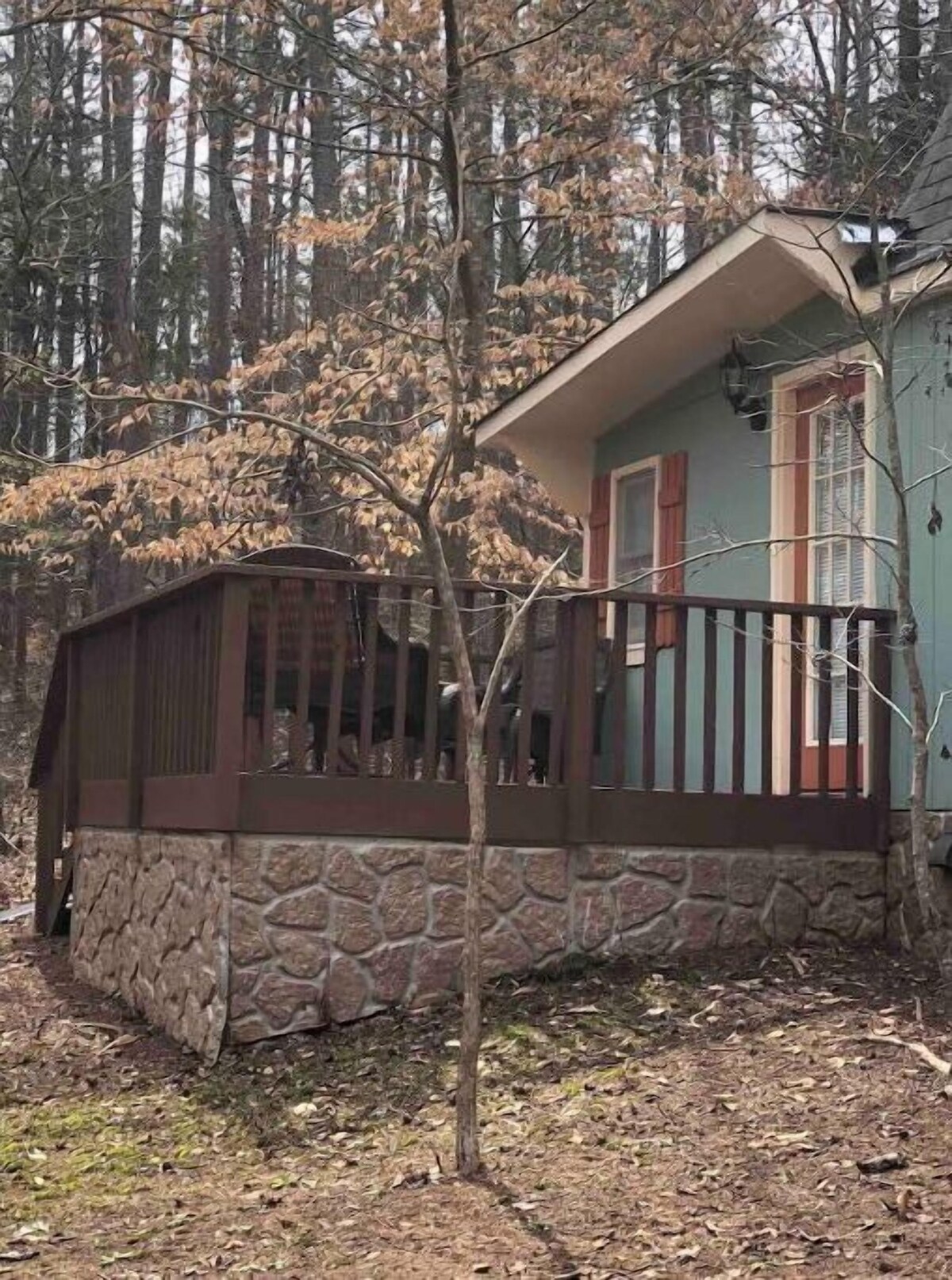 Imagen de perfil del propietario o de la propietaria