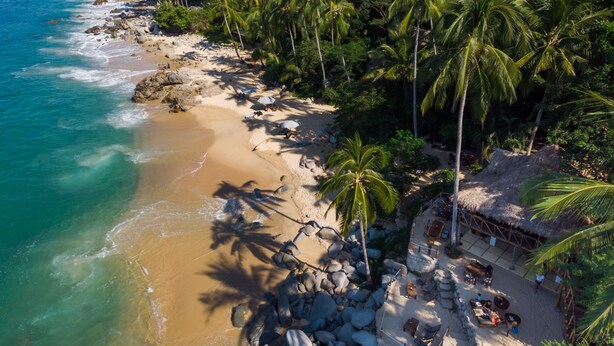 Une plage bordée de palmiers, une cabane à toit de chaume et des chaises longues.