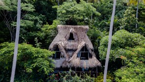Une maison au toit de chaume, entourée d’une végétation tropicale luxuriante.