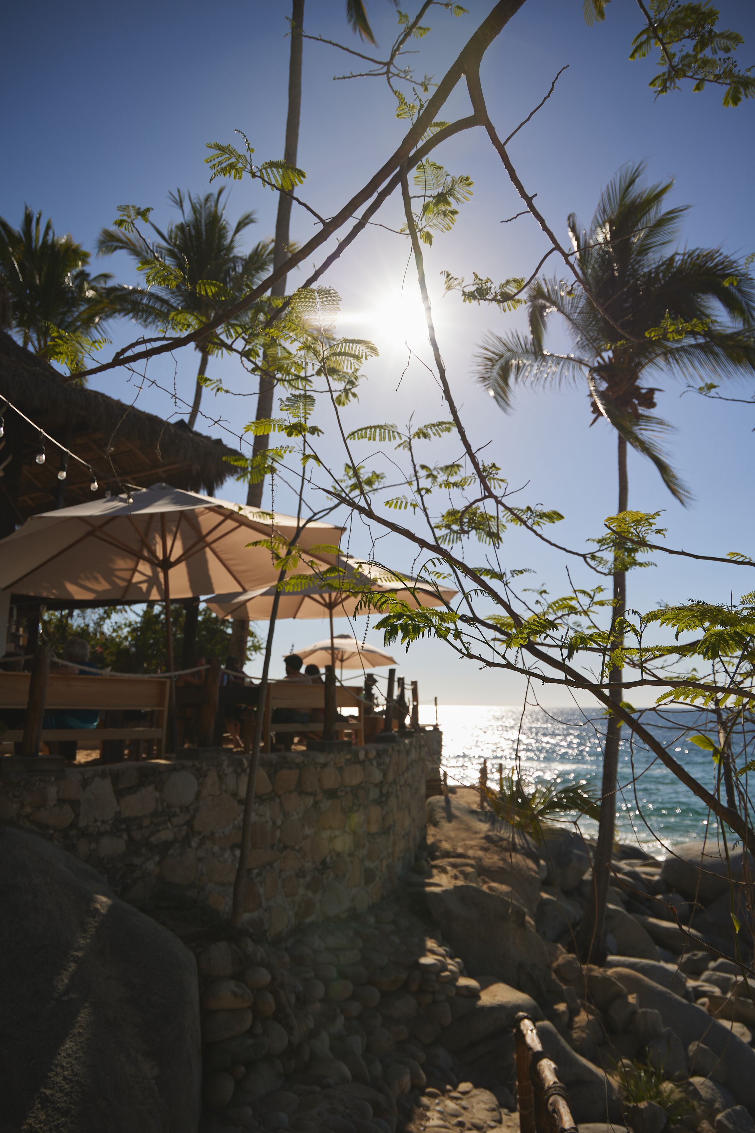 Een restaurant aan het strand met terras, palmbomen en uitzicht op de oceaan.