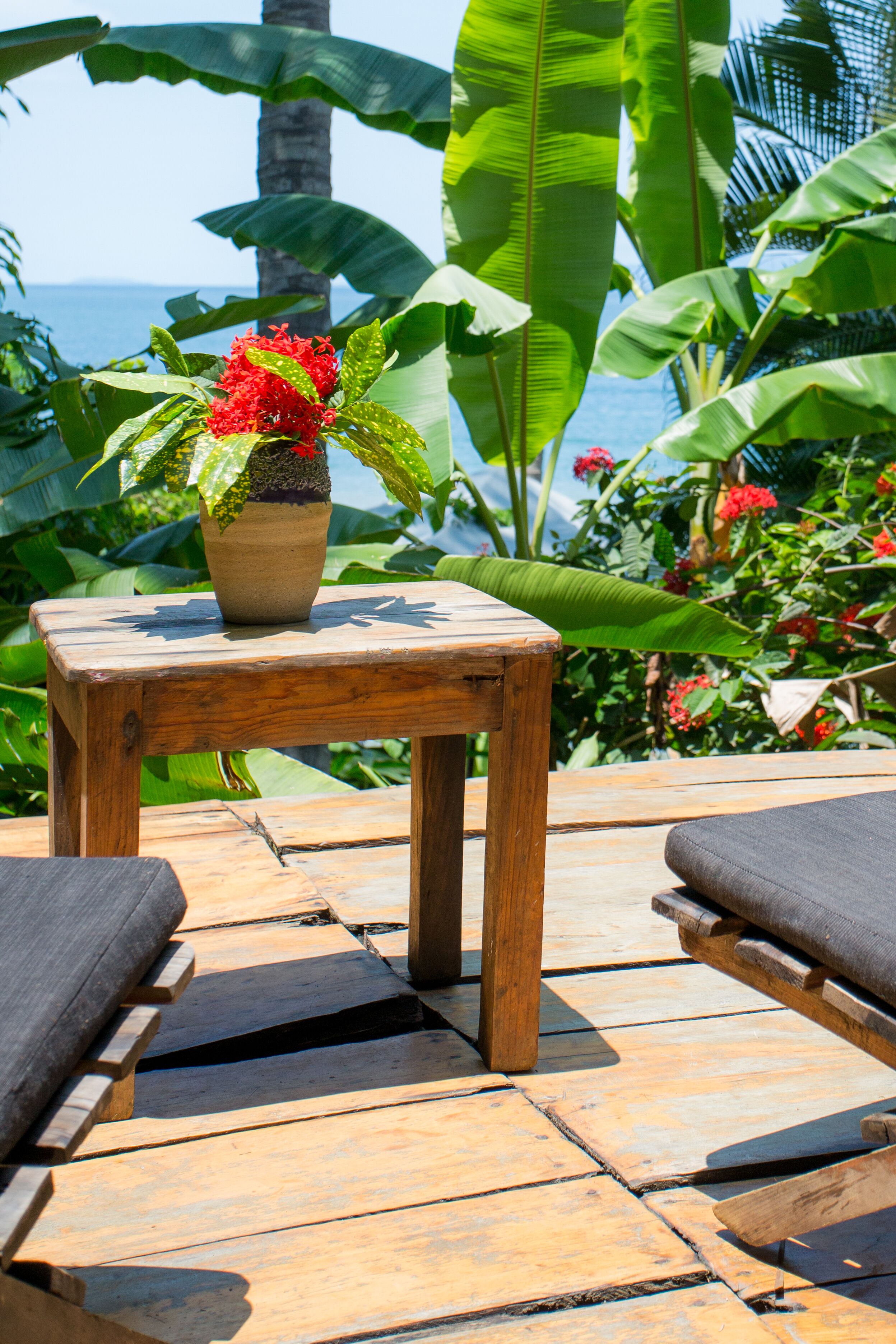 A wooden table with a potted plant, surrounded by lush greenery and a view of the ocean.