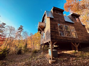 Exterior - True Asheville + Custom Home + Gym (Candler)