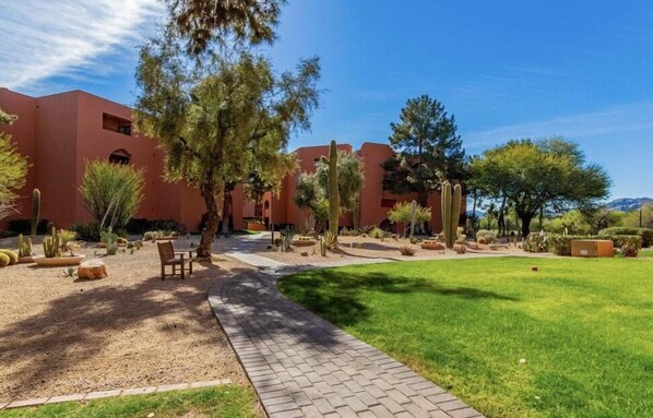 A courtyard with a paved walkway, cacti, and trees.