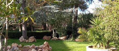 المنطقة المحيطة بالمنشأة