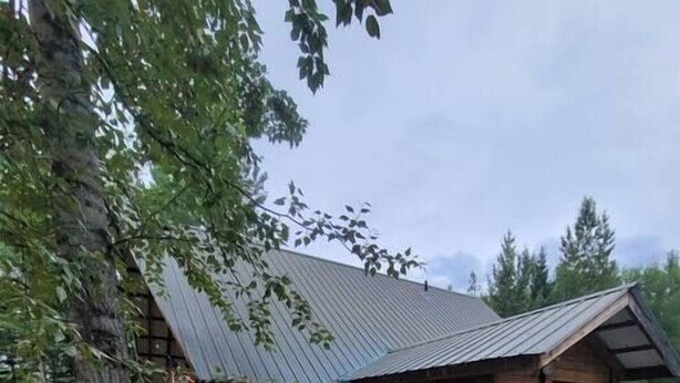 Exterior - Sterling Cabin close to Kenai River (Sterling)