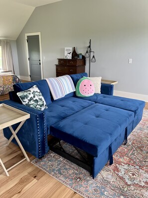 Smart TV - Spacious loft style apartment with gorgeous view (Watertown)