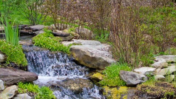 A small waterfall surrounded by rocks and greenery.