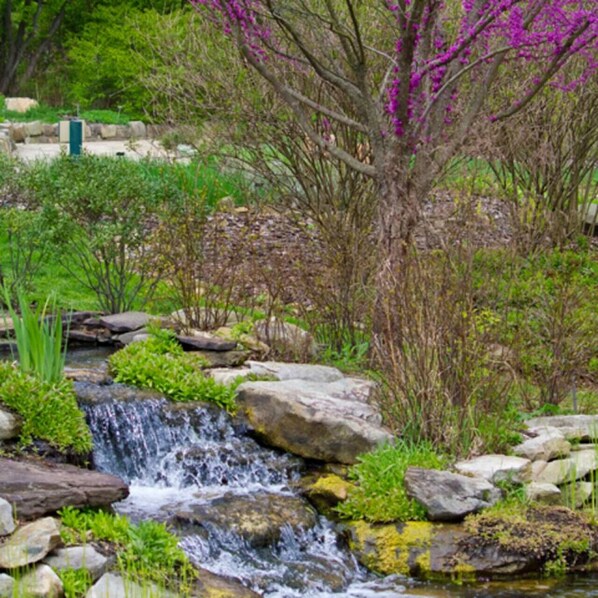 Property grounds - Fairlawn Serenity Retreat (Fairlawn)