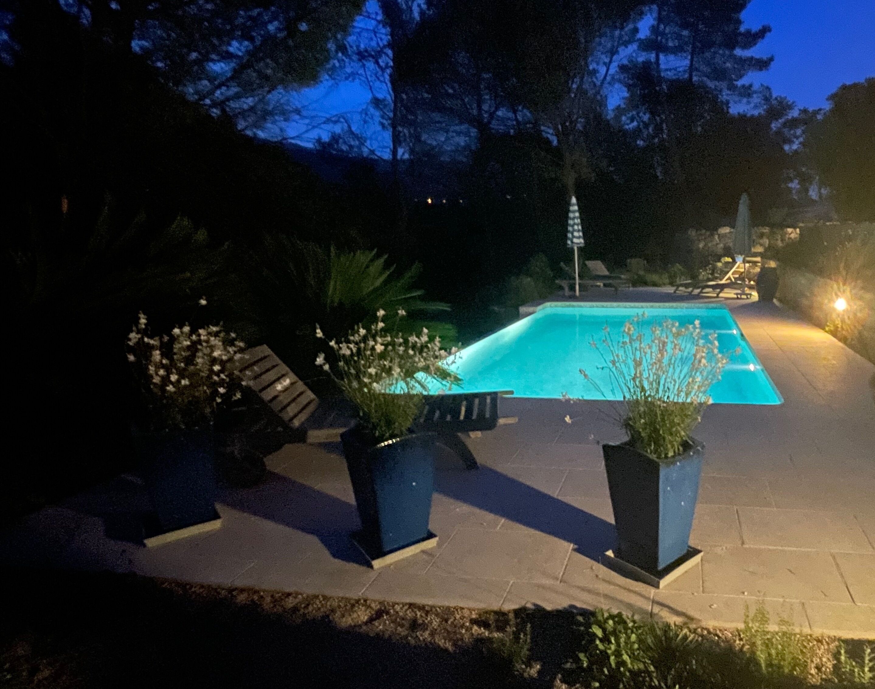 A nighttime view of a swimming pool with surrounding lounge chairs and potted plants.