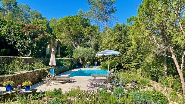 A pool area with lounge chairs and umbrellas, surrounded by lush greenery and trees. - "Azur Blue" Villa - Rural Peace with private pool (Peymeinade)