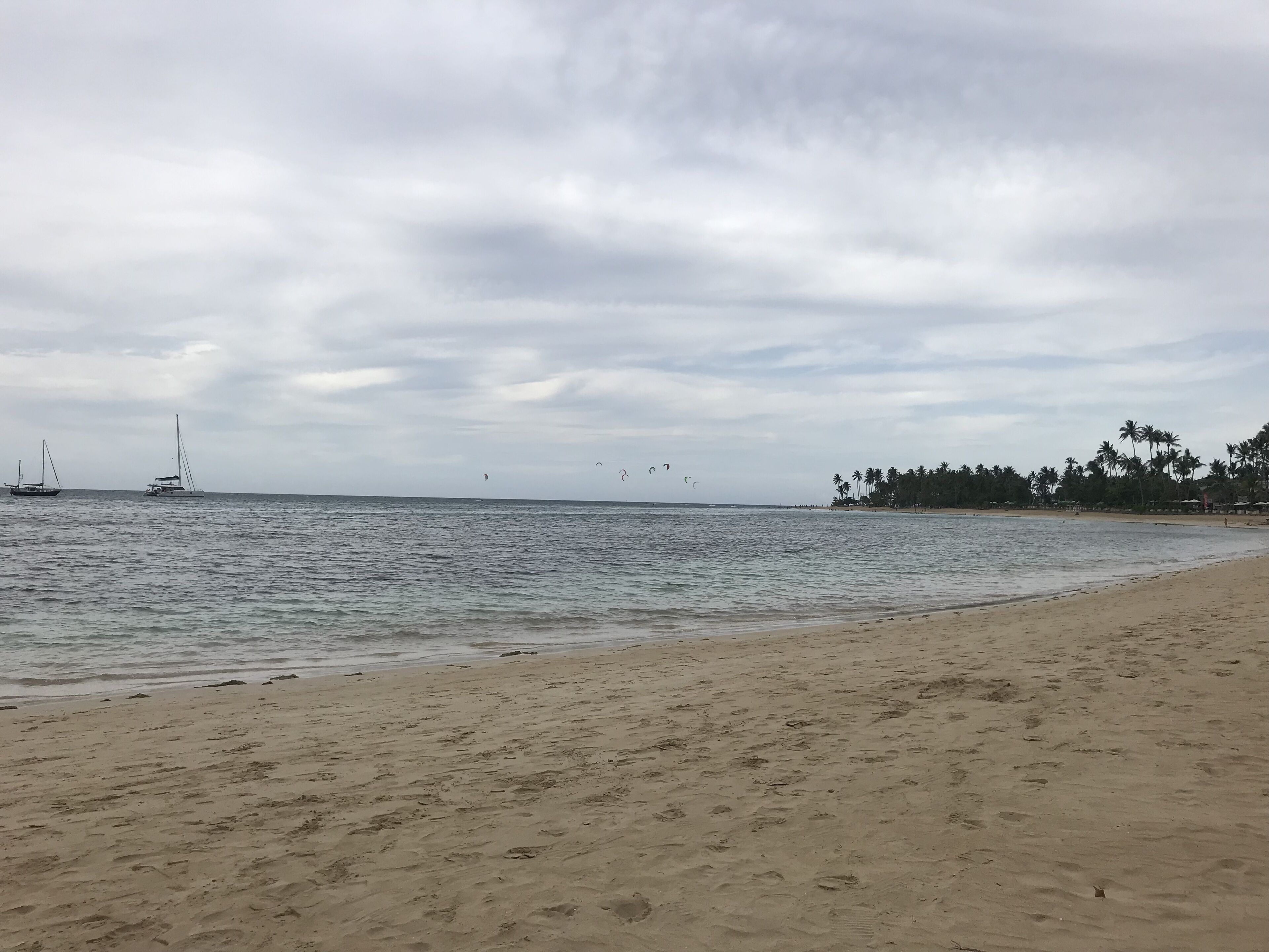 Ein Strand mit ruhigem Wasser, einem sandigen Ufer und einer Reihe von Palmen im Hintergrund.