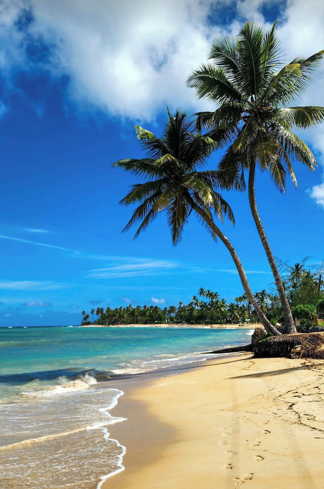 Plage, chaises longues, serviettes de plage