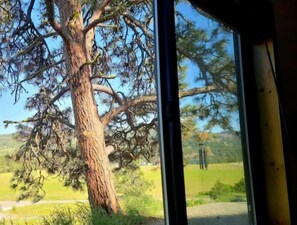 Guests can enjoy a serene view of a majestic tree in a lush green setting.