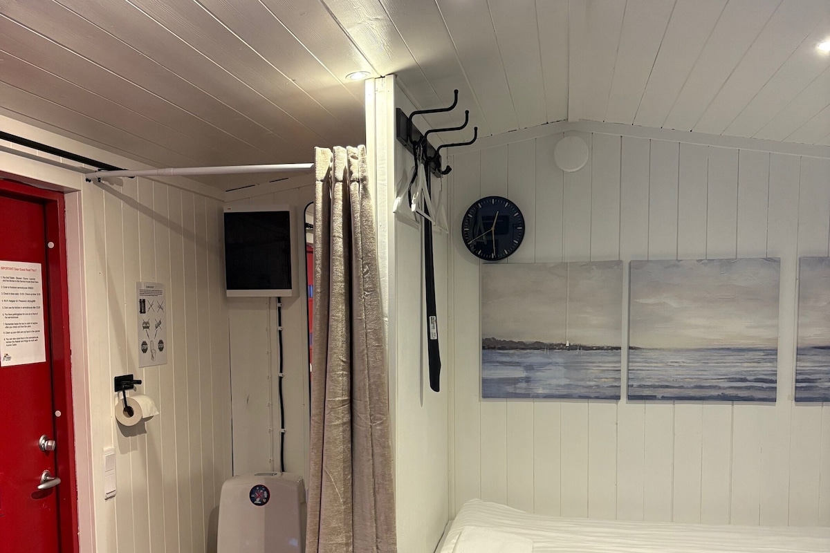 A compact room with a bed, a toilet, a shower curtain, a clock, and a wall with two paintings.