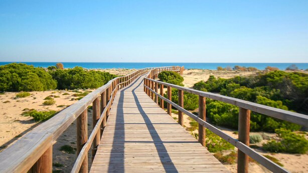 Una pasarela de madera que conduce a una playa con cielos despejados.