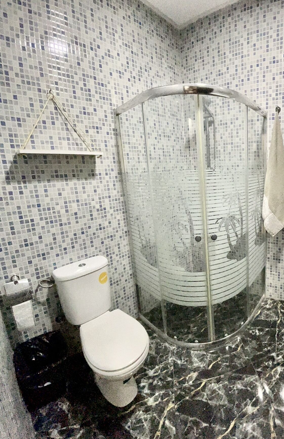 Secador de pelo, toallas y papel higiénico