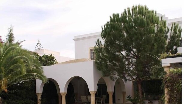 Una piscina con agua cristalina, rodeada por un edificio blanco con puertas arqueadas y un árbol grande.