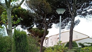 Un jardin aménagé avec différents arbustes et un sentier.