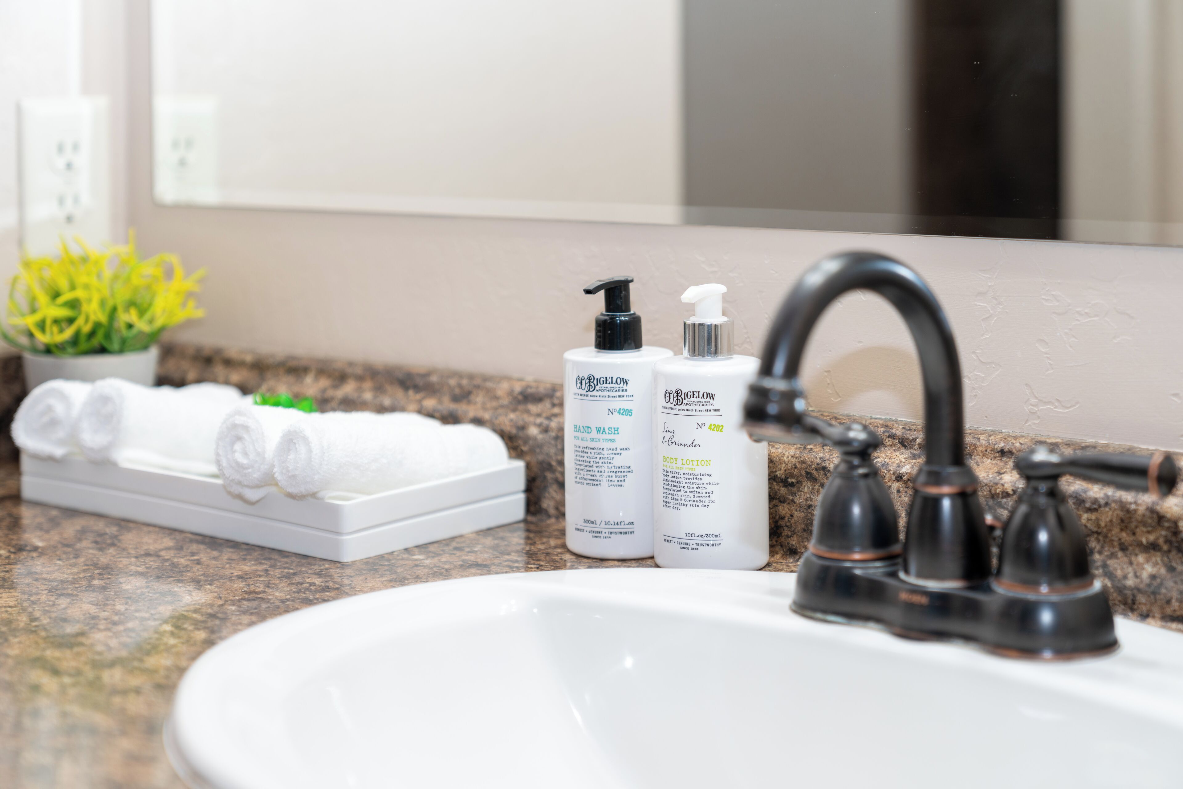 A bathroom with a sink, two hand wash bottles, a hand soap bottle, a towel rack with towels, and a potted plant.