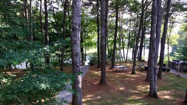 Et skovområde med høje træer, en grussti og et picnicbord.