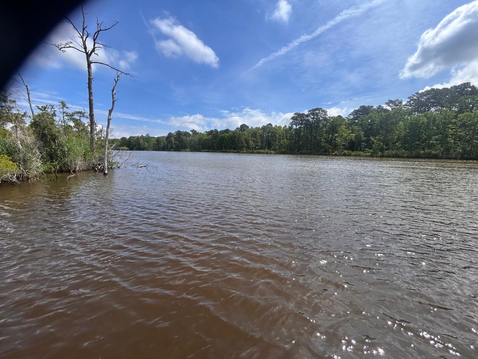 Une rivière bordée d’arbres.