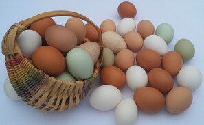 الطعام والشراب