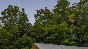 Ein Zelt mit Holzterrasse und roten Stühlen, umgeben von dichtem Wald.