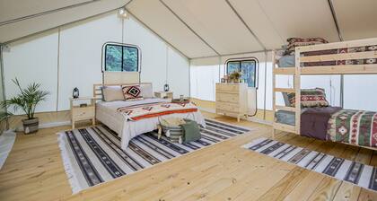 Starlit Nights during Nature’s Cozy Retreat