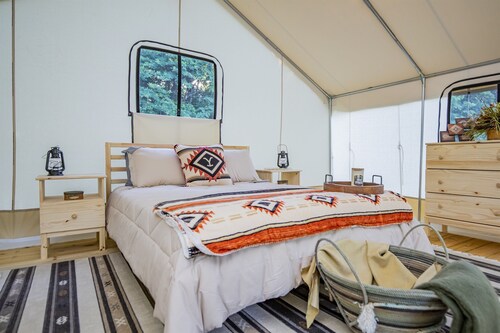 Starlit Nights during Nature’s Cozy Retreat