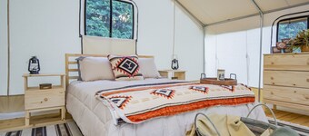 Starlit Nights during Nature’s Cozy Retreat