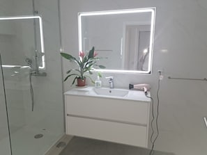 Bathroom features a glass-enclosed shower, sink, and potted plant, with a handheld hair dryer and soap for convenience.