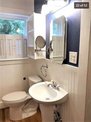 A bathroom with a toilet, sink, and a mirror. - Sunny Virginia Equestrian Cottage (Aiken)