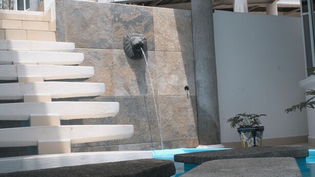 A stone wall with a lion head water spout, a pool with clear blue water, and a potted plant.