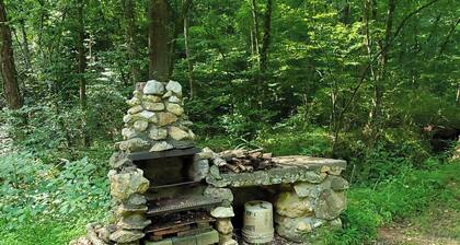 Cabin, country setting, yet only minutes from everything!