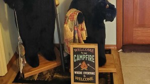 Two large teddy bears dressed as bears, one holding a rifle, standing next to a wooden sign that reads "Don't feed the bear" and another sign that says "Welcome to our campfire where everyone is welcome." - Cabin, country setting, yet only minutes from everything! (Statesville)