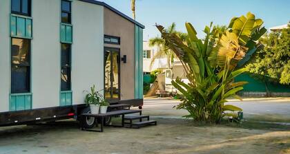 Lagom Tinys House