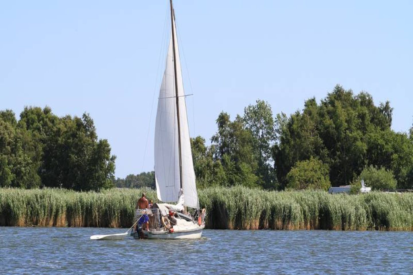 A sailboat on a calm body of water with a forested shoreline in the background.