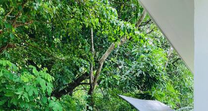 Great Location Cozy House - 15 min From Tamarindo