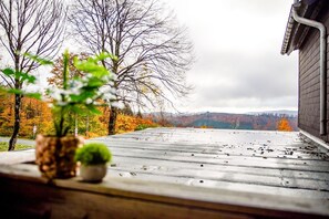 Unclassified image, 2 of 21, button