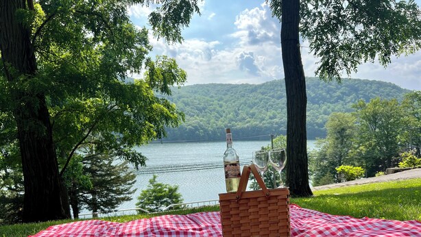 A picnic setup with a checkered blanket, a basket, and two wine glasses on a grassy area with a lake and trees in the background.