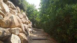A stone pathway leading through a garden with large rocks and dense foliage.