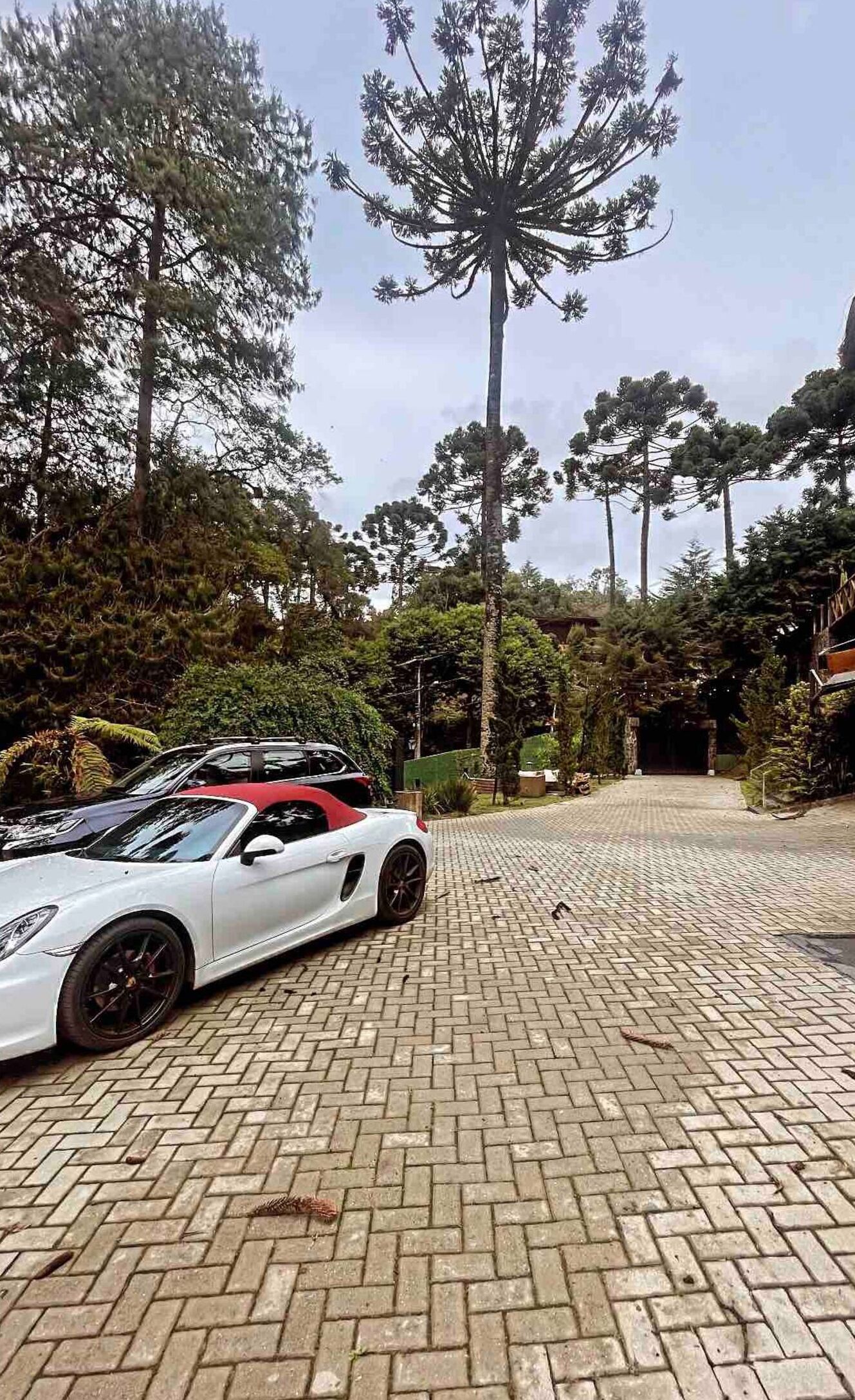 Área da propriedade