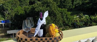 Ocean view Villa , your escape to an island vacation