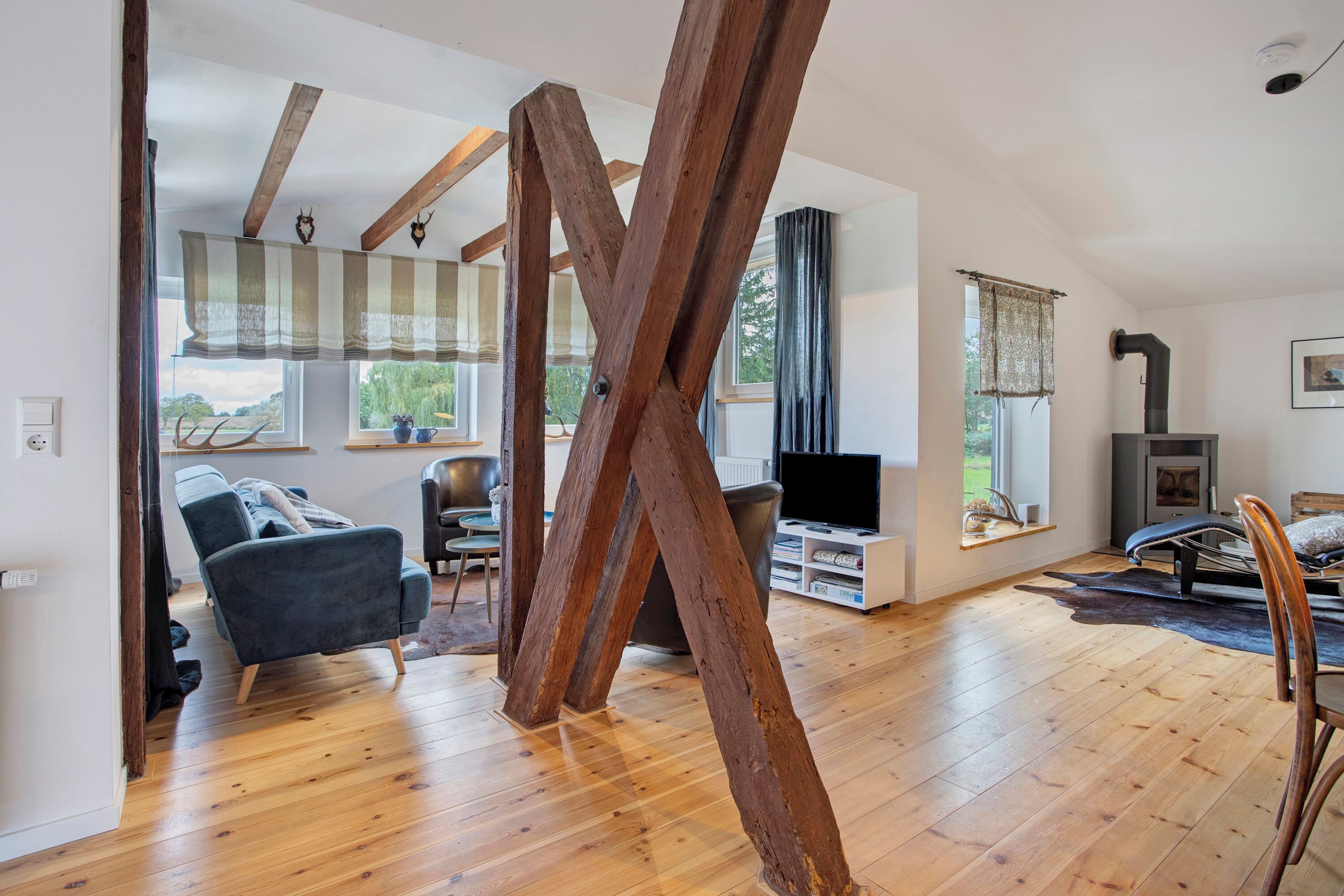 Televisión y chimenea 